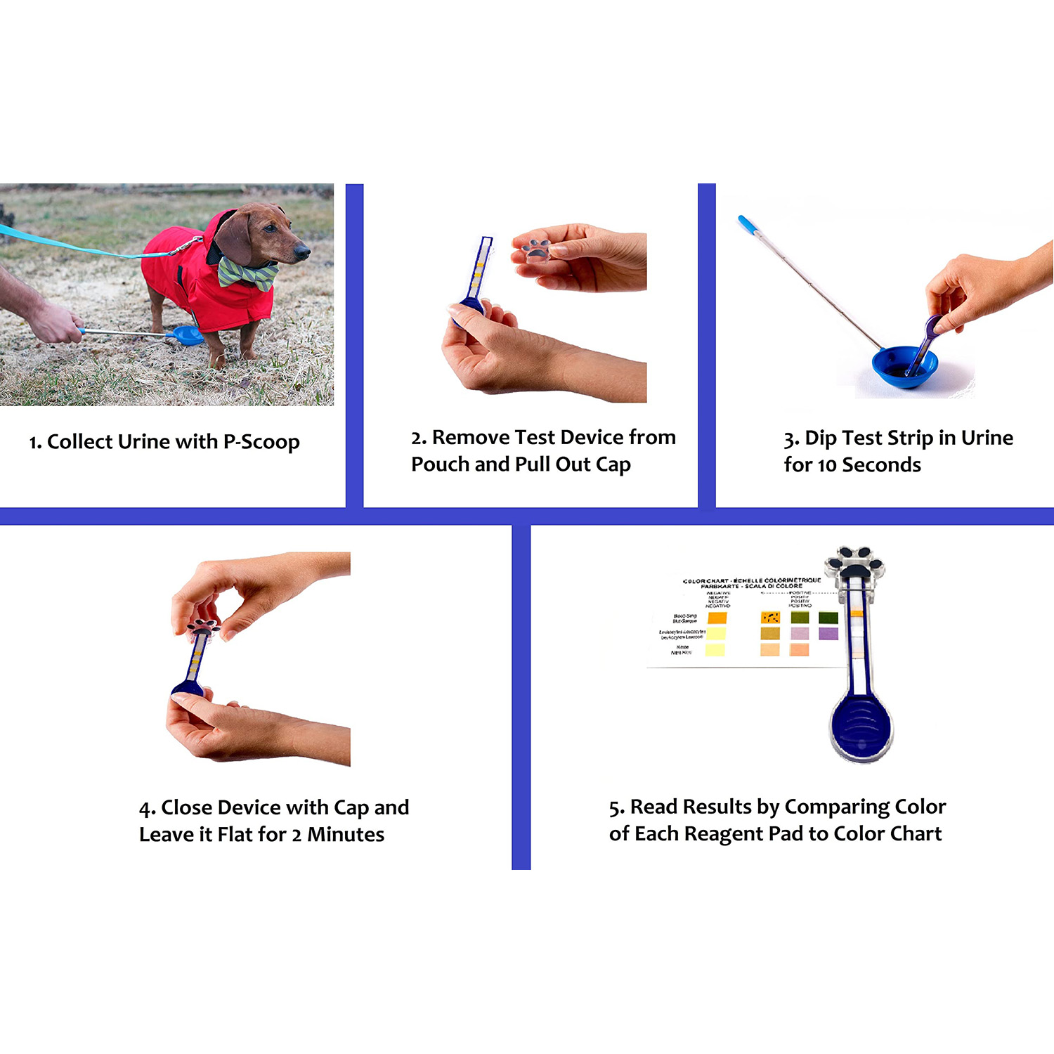 How to Test Dog for Uti: Simple Steps to Detect Infection Early
