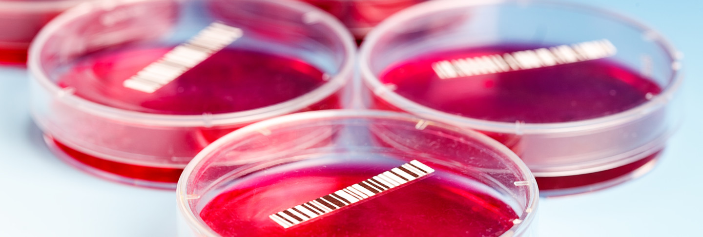 Blood cultures are among the most important laboratory tests but things can go wrong